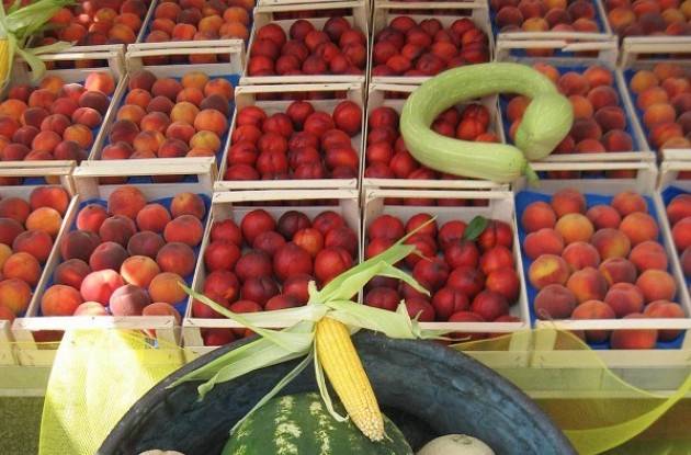 Domenica a Crema  Campagna Amica ‘L’anguriata’  e tutti i frutti ‘amici’ della tintarella