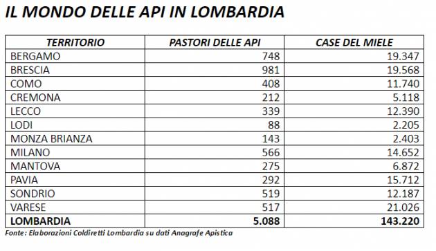 Coldiretti Caldo, addio al 30% del miele lombardo Gli apicoltori cremonesi: danni agli alveari