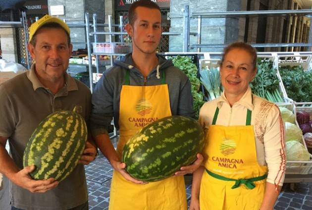 Cremona Campagna Amica: l’anguria, elisir di lunga vita