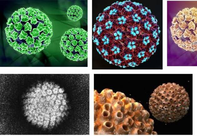 Asst Viadana 20  settembre 2017