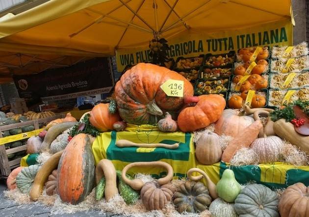 Crema, domenica Festival della Zucca al Mercato di Campagna Amica di Coldiretti