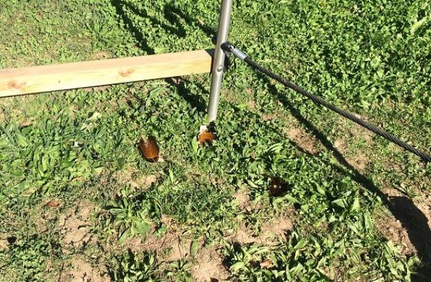 Cremona I parchi giochi del Boschetto oggetto di vandalismo. La denuncia del quartiere