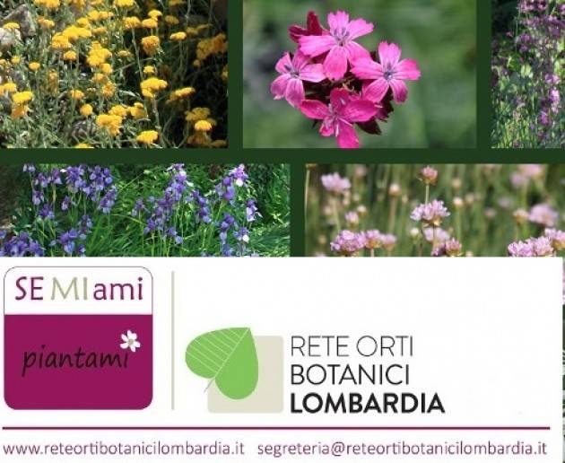 Far fiorire i fiori dall'asfalto. Piante spontanee e donne emarginate insieme per la Ticino Ecomarathon