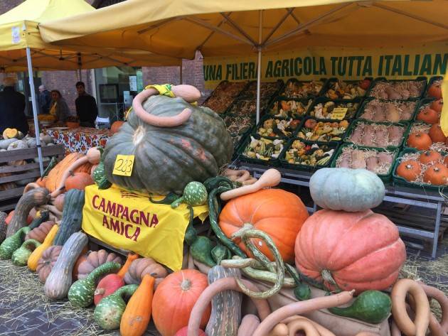 Coldiretti Cremona: domenica in piazza Stradivari grande festa della zucca al Mercato di Campagna Amica