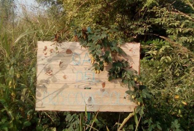 L'Oasi del Bosco Piccolo la trovate a Vescovato  di Maria Grazia Bonfante
