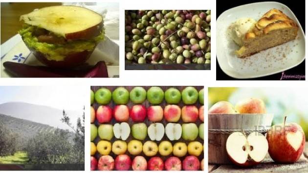 Coldiretti Lombardia Consumi: dimezzate olive e mele, nei vigneti addio a 1 grappolo su 5