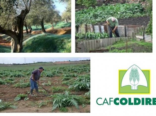 Lombardia Coldiretti Pensionati, 2 agricoltori su 3 sotto i mille euro: il 50% resta in azienda