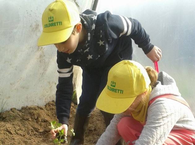 Coldiretti Cremona  A scuola di agricoltura con Campagna Amica ‘La campagna nel mio piatto’