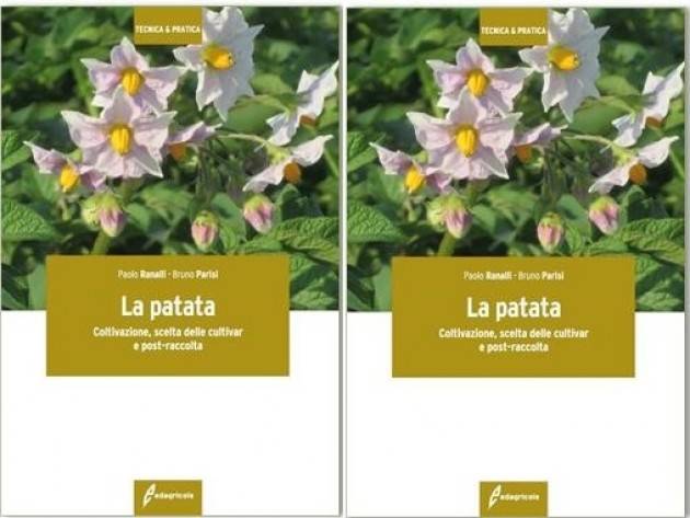 Il Libro LA PATATA COLTIVAZIONE, SCELTA DELLE CULTIVAR E POST-RACCOLTA di Paolo Ranalli - Bruno Parisi