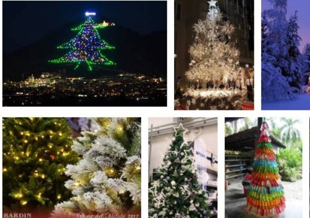 ADUC Alberi di Natale e catene luminose.  Attenzione agli incendi!