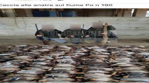 WWF Due giovani cacciatori bergamaschi  uccidono 190 anitre selvatiche lungo il Po a Cremona