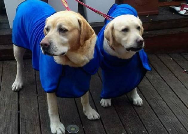 # Nona edizione del ‘Cimento Invernale’ di Imperia - La fotogallery di Christian Flammia