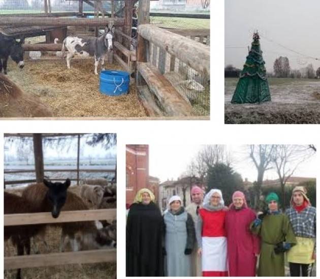 Crema Caso Presepe e Libera: il Coordinamento  dell’Area Omogenea afferma i princìpi della legalità