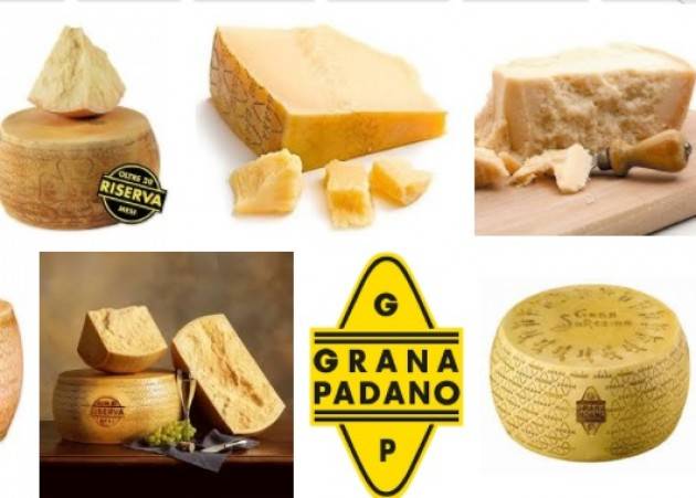 Coldiretti Grana Padano, Prandini: ‘Basta doppio gioco similari’
