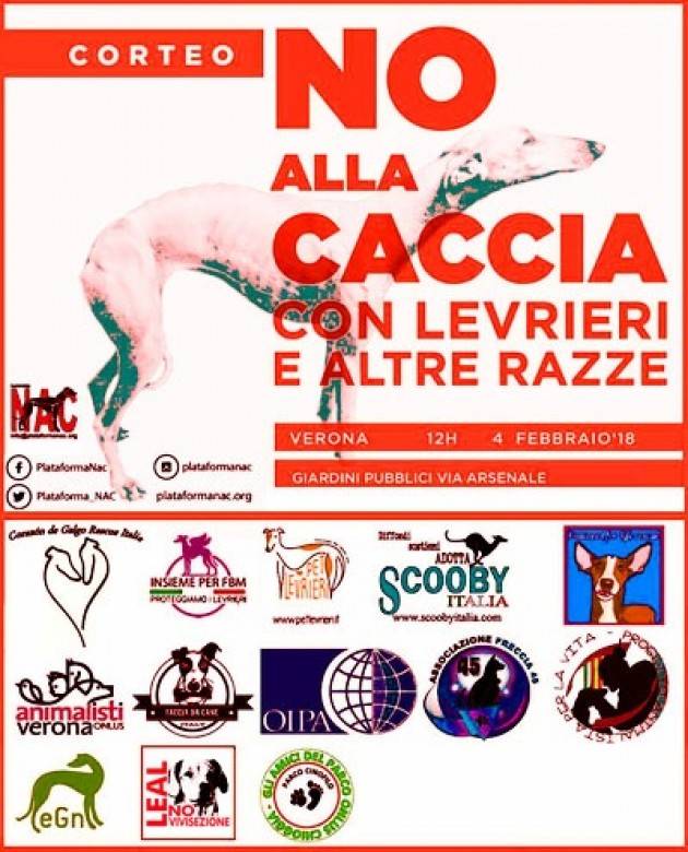 No alla caccia con levrieri e altre razze  di Gabriele Beccari (Cremona)