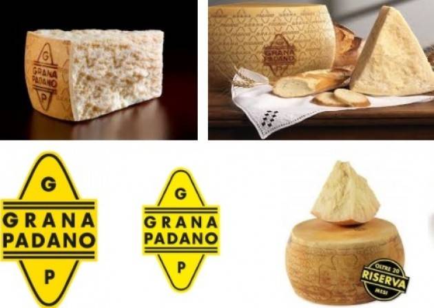 COMMERCIO: COLDIRETTI, TAROCCHI AFFOSSANO GRANA AI MINIMI DA 8 ANNI