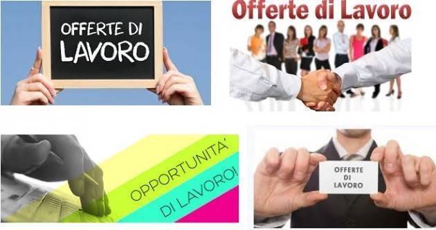 InformaGiovani Cremona Le offerte di Lavoro ed i bandi Proposte del  13 febbraio 2018