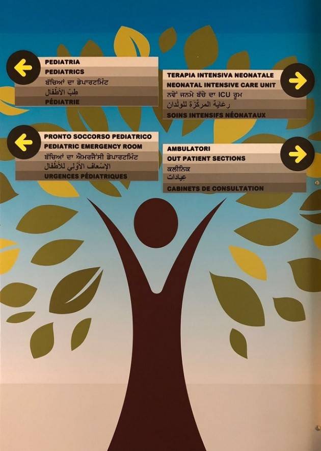 ASST Cremona L’ALBERO PARLANTE DI ABIO