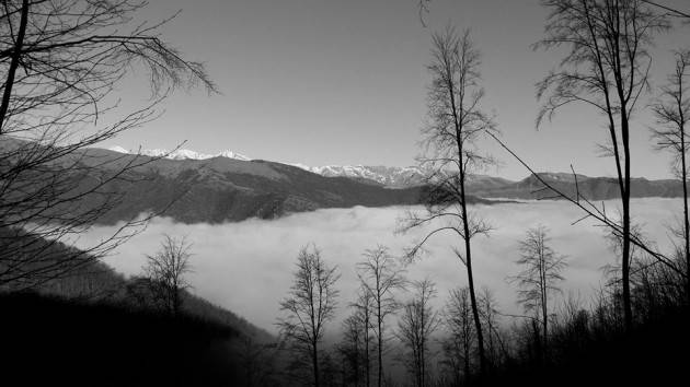 Parco delle Alpi Liguri : Fotografia in primo piano di Christian Flammia
