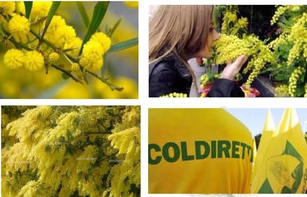 Coldiretti Milano Domani mercoledì 7 marzo, ore 11, piazza Mercanti 2 Festa della Donna