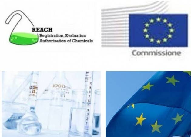 AISE Europa DIECI ANNI DI REACH: SOSTANZE CHIMICHE PIÙ SICURE