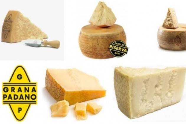 Coldiretti No al Grana Padano fatto in Francia Ettore Prandini: ‘Follia anche solo pensarlo’