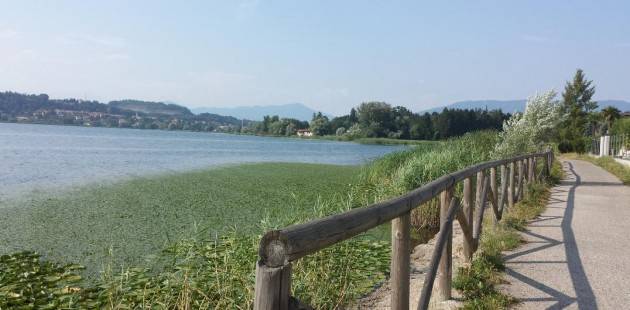 VARESE CICLOVIA DEL LAGO MAGGIORE TRATTO SESTO CALENDE – LAVENO MOMBELLO: PROGETTO  PRONTO