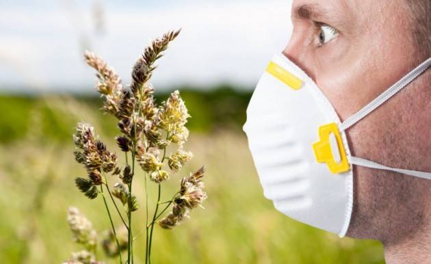 Sanità Allergia ai pollini: consigli utili