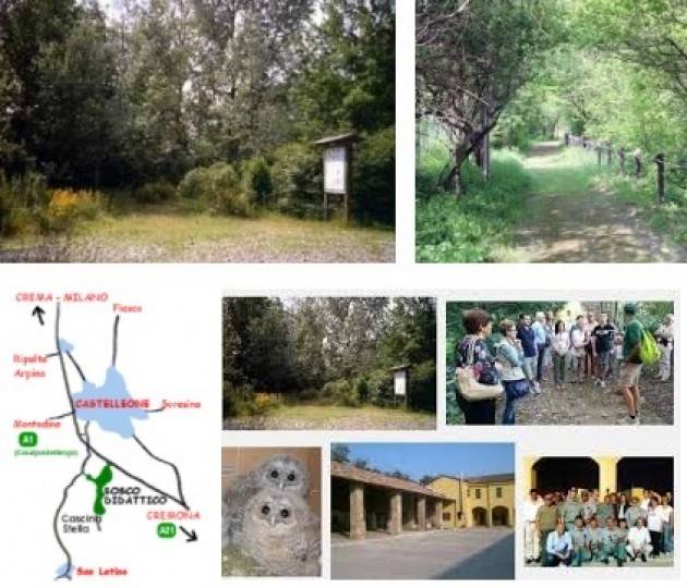 Il Bosco didattico di Castelleone Domenica 8 aprile è aperto al pubblico