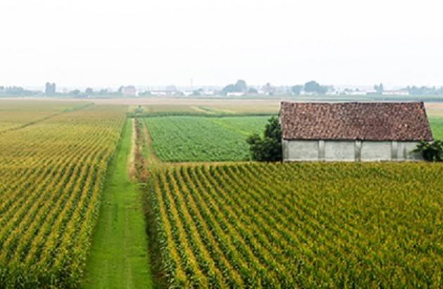 NASCE DA FILIERA AGRICOLA ITALIANA E LIDL LA NUOVA LINEA DI PRODOTTI 100% ITALIANI