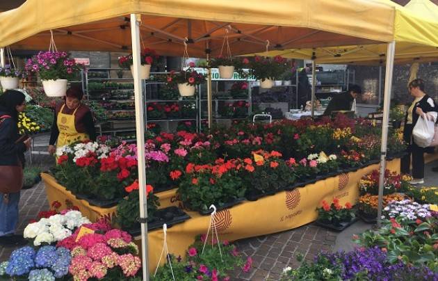 Cremona Coldiretti ‘Sinfonia di fiori e sapori’: la primavera protagonista oggi al Mercato di Campagna Amica