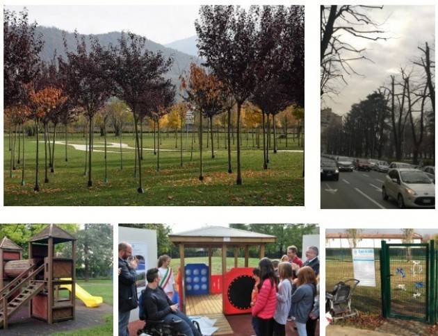 BILANCIO ARBOREO, DAL 2013 AL 2018 IL COMUNE DI BRESCIA HA PIANTUMATO 11.779 ALBERI