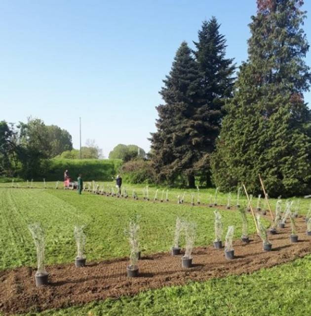 Emozionante l’idea del ‘ Giardino delle farfalle’ a Cremona