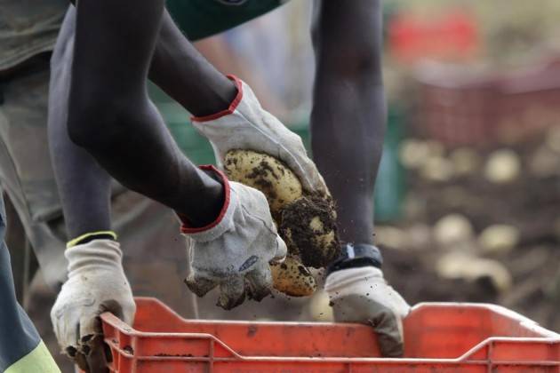 Pianeta Migranti. In Europa avanza la tratta degli schiavi del lavoro.