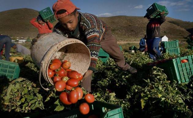 Pianeta Migranti. In Europa avanza la tratta degli schiavi del lavoro.