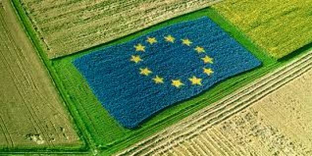 Coldiretti Bilancio UE, con -9,5% agricoltura paga conto della Brexit