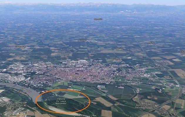 Cremona: BioBlitz al parco del Po e del Morbasco il 19/05
