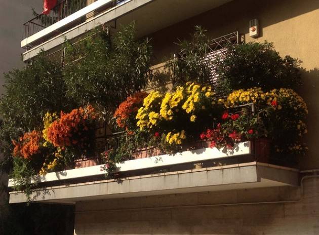 Cremona: al via il concorso 'Quartiere in fiore'
