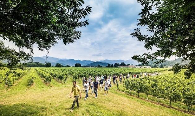 Franciacorta Summer Festival: 1-3 giugno un long week end dedicato al Food