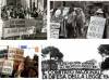 AccaddeOggi   #22maggio  1978 Il parlamento approva la legge  sull’aborto  (la 194)