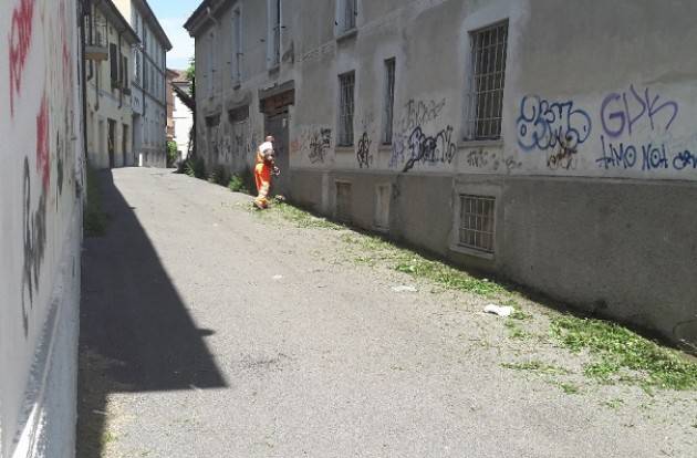 Cremona Taglio dell’erba su marciapiedi e strade, servizio potenziato