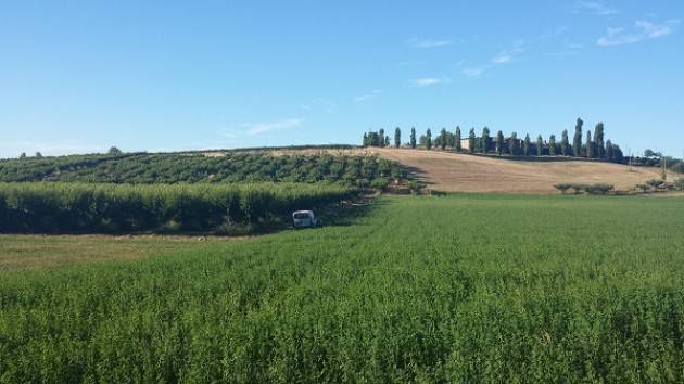 Rivanazzano Terme APERITIVO CON VISTA  LE PESCHE DI VOLPEDO  ALL’ AGRITURISMO CHIERICONI  sabato 21 luglio