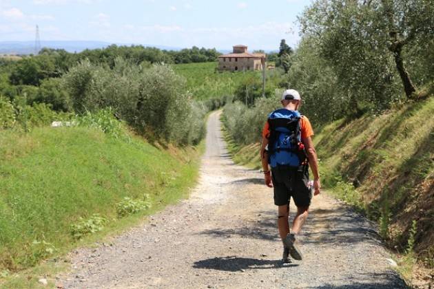 Cremona: il 25/6 proiezione unica del film 'I volti della Via Francigena'