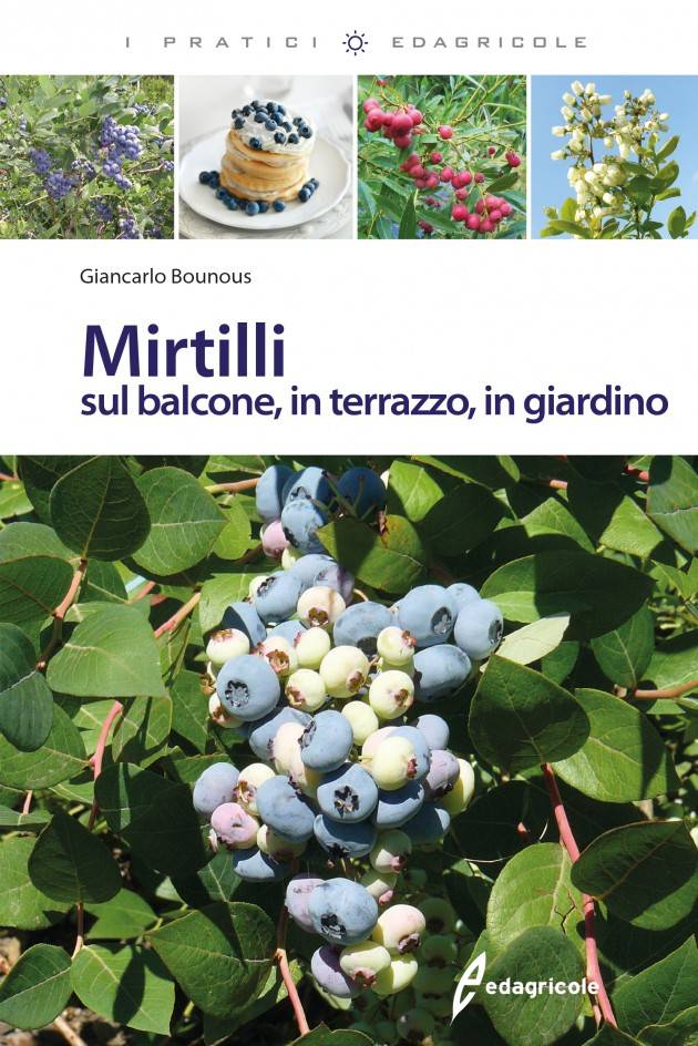 Il LIBRO MIRTILLI SUL BALCONE, IN TERRAZZO, IN GIARDINO di Giancarlo Bounous