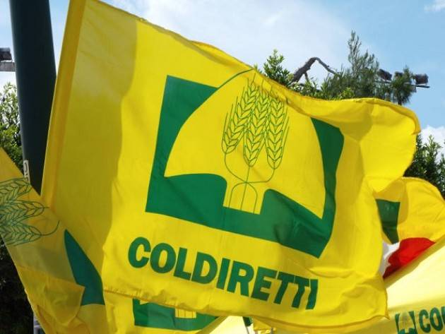 Milano: il 20 luglio Assemblea Regionale Coldiretti Lombardia
