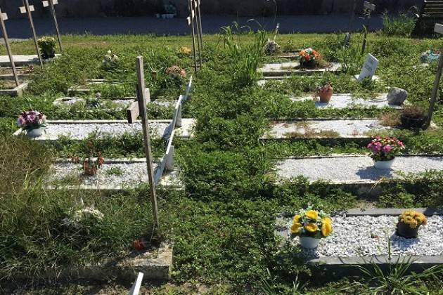 Grave incuria al Cimitero Maggiore  di Crema di Antonio Agazzi