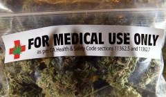 Cannabis terapeutica, aumenta l’import dall’Olanda Giulia Grillo: 'Una prima risposta ai pazienti'