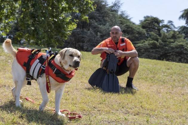 Milano al Parco Idroscalo, i cani super eroi della SICS, addestrati per salvare le persone in acqua