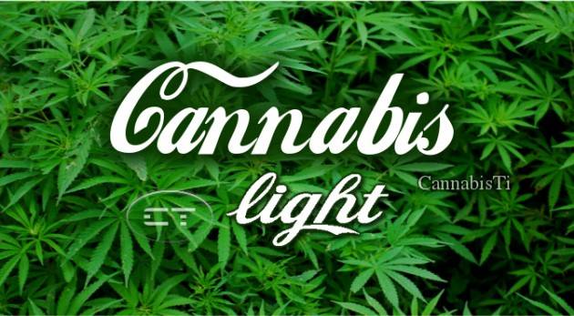 ADUC #Cannabislight e divieti. Qualcuno si farà più che male?