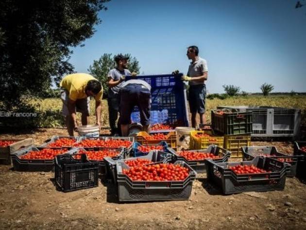 Pianeta Migranti. Pomodoro senza sfruttamento, si può.